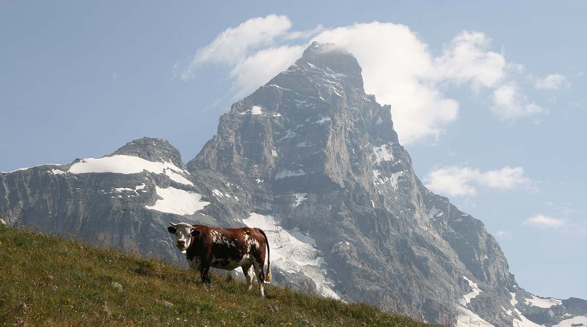 en marchant dans lʼombre du cervin