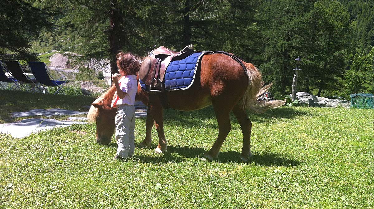 maneggio Cavalieri del Cervino